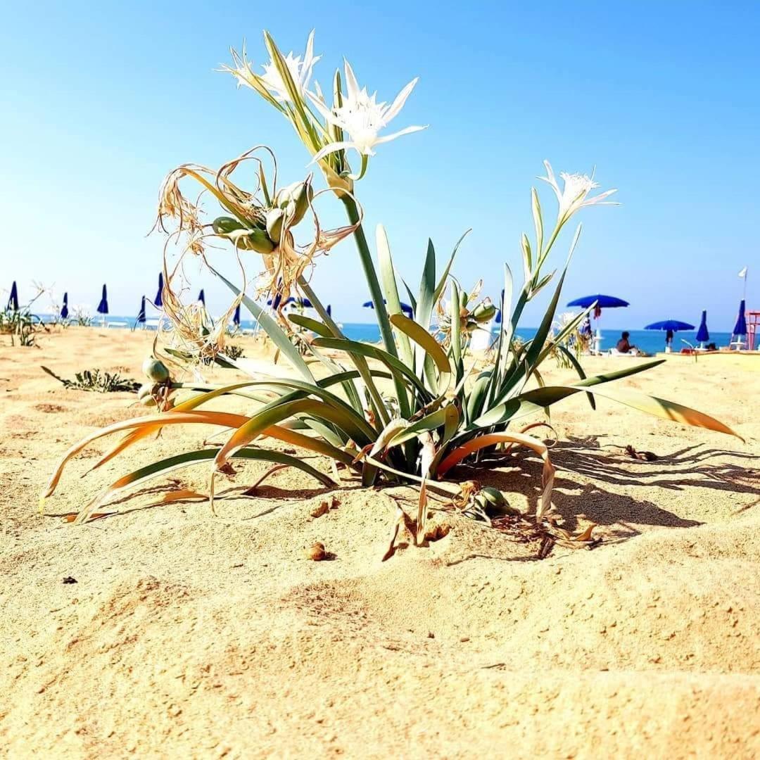 פורטו אמפדוקלה Casa Vacanza Nonna Nena מראה חיצוני תמונה
